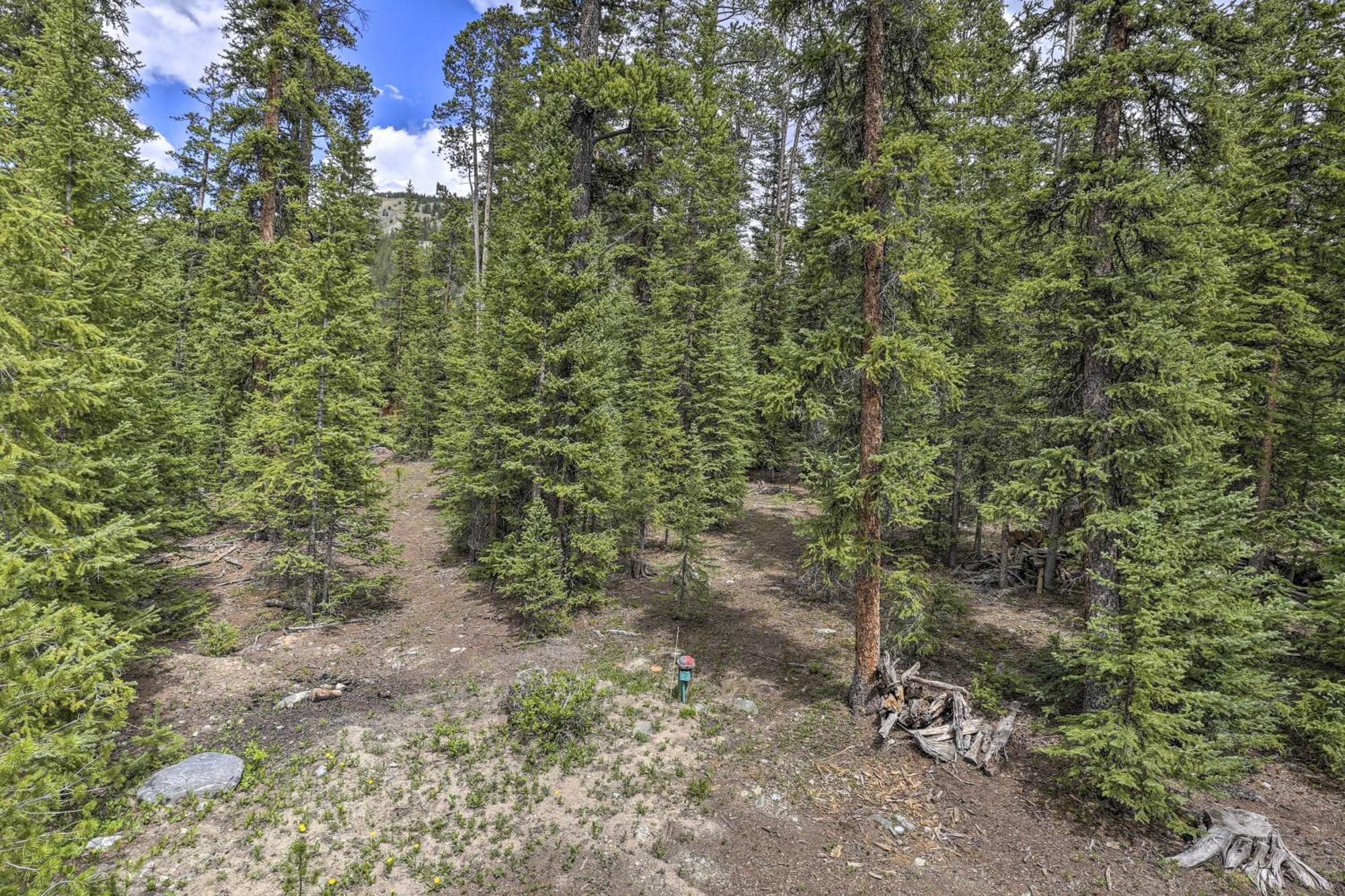 Cozy Breckenridge Cabin With Deck, 8 Mi To Gondola Esterno foto